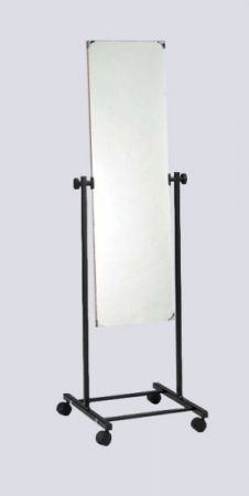 Click Here To Enlarge This Photo Of Mobile Posture Mirror